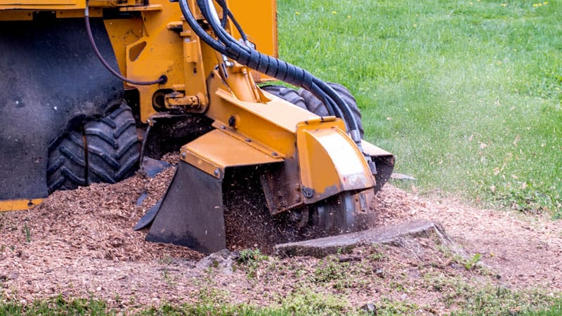 stump-grinding